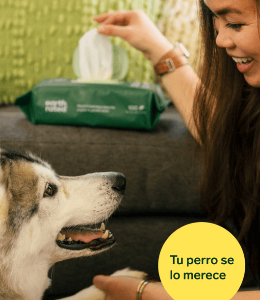 Toallitas de aseo para perros con perfume de lavanda - Disane pet care