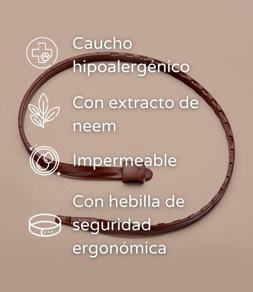 Champú natural + collar antiparasitario