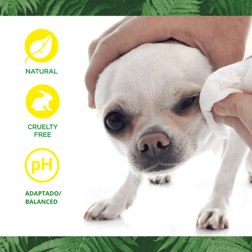 Limpiador de ojos natural para perros